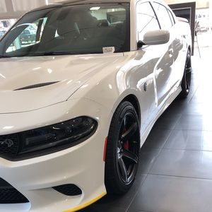 Meet your Posher, Oscar